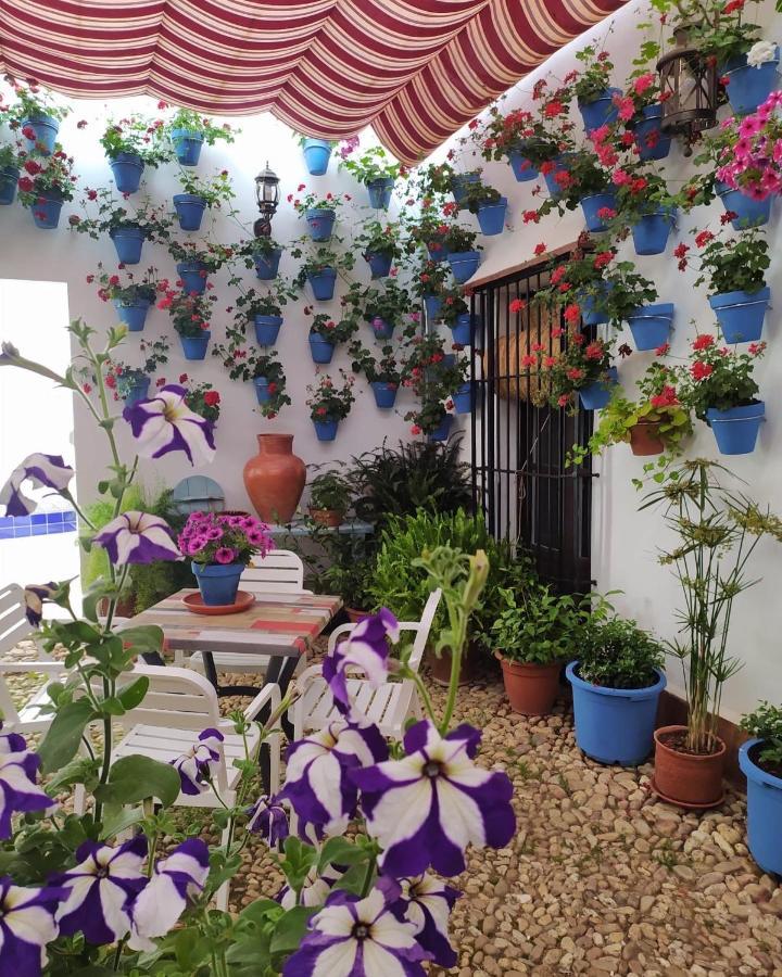 Casa Rural "Laplaza23" Herrera del Duque Extérieur photo